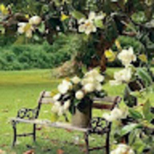 Meet your Posher, Carol's